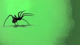 Green Screen FX, Spider 720 HD