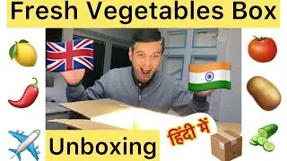 Supporting a small start-up in UK - VegiBox! 