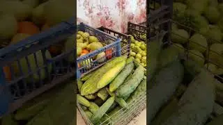 Собрали урожай.