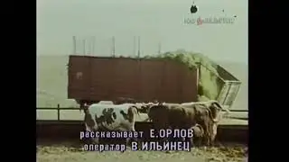 СОВХОЗ ИМЕНИ 50 летия СССР Волгоградской области 1988 год