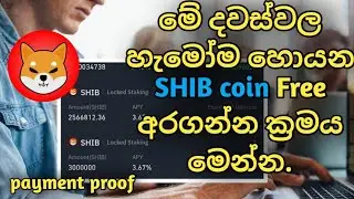 විනාඩි 5න් 5ට SHIB coin | Earn shib coin every 5 minute | WR creation |  sinhala