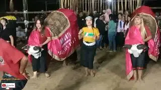 Sang Mega Bintang‼️Yang Di Tunggu2 DEWI KUNTI, LIVE MBENDO MBAMBANG🔥🔥🔥