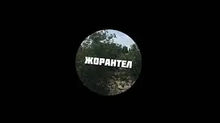 Стрим