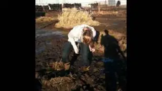 Girl stuck in cow poop.