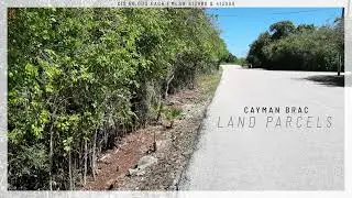 SONGBIRD LAND | KUAVO Cayman
