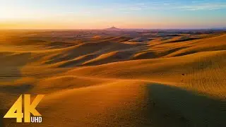 Beautiful Washington Episode #9 - The Summertime Beauty of Palouse Fields - 4K Nature Relax Video