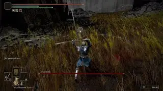 This Elden Ring weapon is OP
