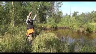 На Большой попёрла рыба !
