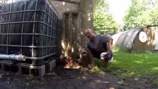 Step 4 - IBC Rainwater Harvesting System - First Flush Diverter
