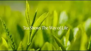 Tea Shows The Way of Life featuring Takayoshi Sugiyama