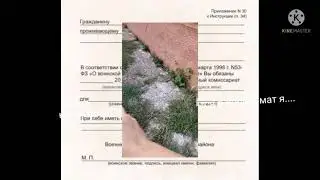 когда позвонили из военкомата я...