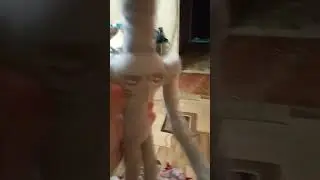 6 июля 2024 г.