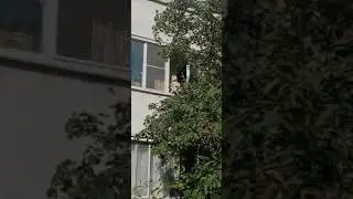 #полуголая