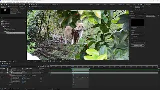 Videoguide - Hide Defect or Correct Video Clip Using Content Aware Fill Feature in After Effects