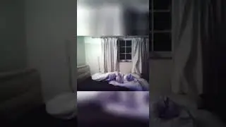Странное существо стучит в окно по ночам