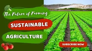 The Future of Farming: Sustainable Agriculture #viral
