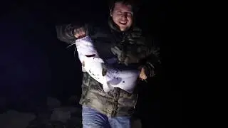 Every Catfish brings a Smile