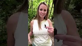 I caught this little guy just wandering about #shorts #foryou #feedshorts #shortsfeed #whoops #haul
