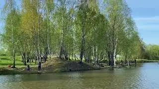 Зарыбление форели 600