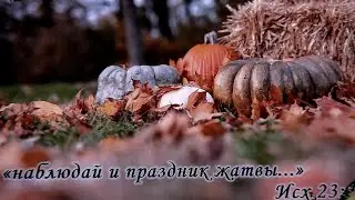 День благодарения / церковь Молотковичи  08/10/2023