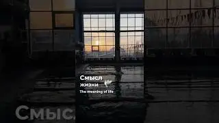 Смысл жизни // the meaning of life 🕊️