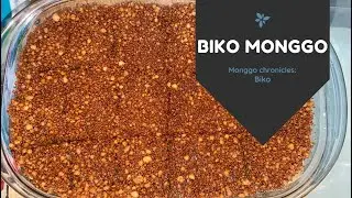 MY BIKO MONGGO! | AUNTIE JULS VLOGS