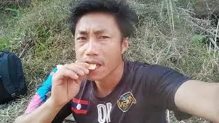 yob mus noj ntse nab ງນຶ /2/3/2025
