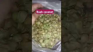 buah cecenet #cecenet