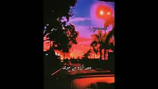 Mahiya mery Mahi || bhaag johny bhag  #songs #whattsappStatus #lyrics