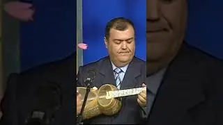 Shaydo denglar