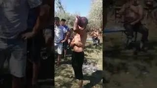 Айдос 92 Масақ