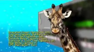 Closed Captions in Sony's Vegas Pro 10a, part 1, adding captions