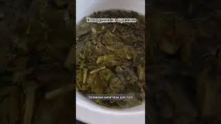 Холодник из щавеля