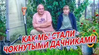 Как мы стали чокнутыми дачниками или как мы купили нашу дачу