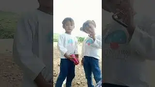 Activity of twins.