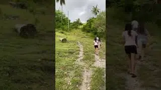 🌴 