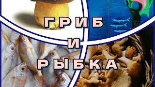 Гриб и рыбка (детская) - Музыка Виктора Хоборова, слова Правила Штефаника