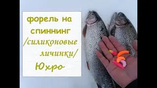 форель на спиннинг /силиконовые личинки/  Юхро