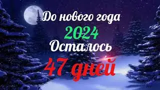 Д нового года 2024 ОСТАЛОСЬ