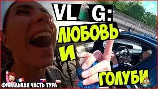 VLOG ● ЛЮБОВЬ И ГОЛУБИ | Staff Medvedenko