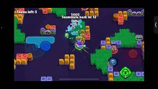 Rank 30 Hank ( Prawn Ready Fr )