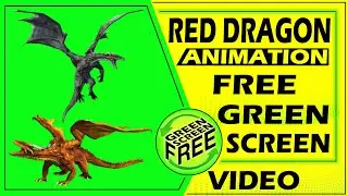 green screen dragon | red dragon green screen | dragon green screen