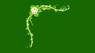flower animation greenscreen full hd free downlaod