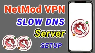 How to configure Netmod VPN slow DNS server settings for Secure browsing