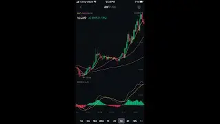 $ADA, $ONE, $HNT, Binance.US Easter Charts