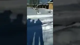 Гроб с дедушкой выкопали дважды