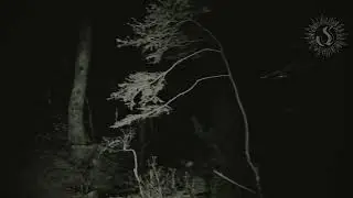 Sigma Sol - Disquiet