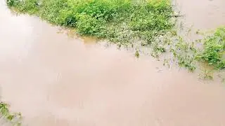 चेरापूंजी और मौसिनराम विश्व के सबसे आर्द्र क्षेत्र क्यों हैं जहां सबसे ज़्यादा बारिश होती है Rainfal