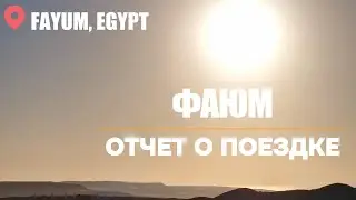 Фаюм. Отчет о поездке. Октябрь 2024