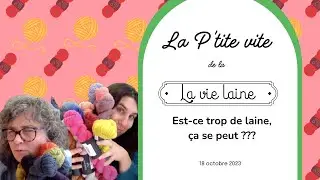 Est-ce que trop de laine, ça se peut ? La p'tite vite de la Vie laine - 18 octobre 2023